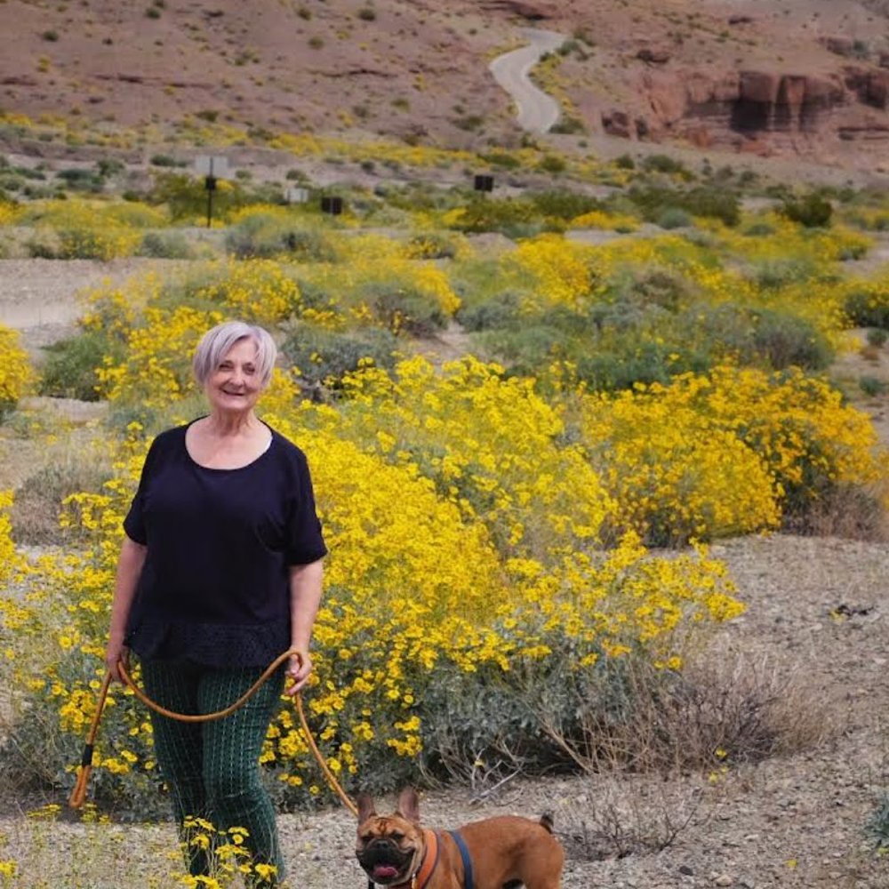 Meet your Posher, Terri